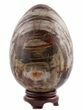 Polished Petrified Wood Egg - Colorful #51692-1